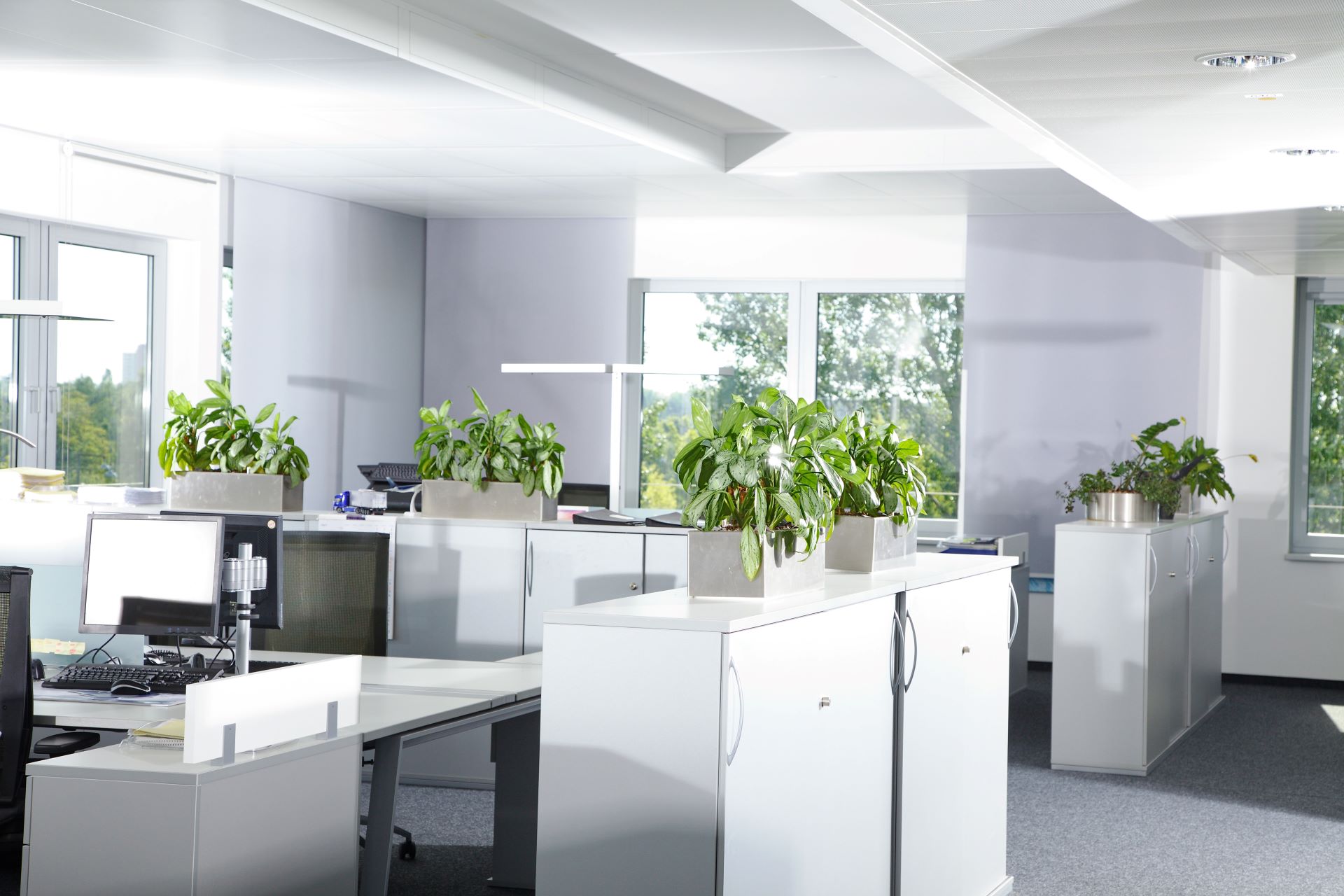 Resume Writing Services Whiteside QLD